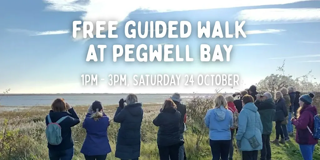 Free beginners walk at Pegwell Bay NNR at Pegwell Bay Country Park