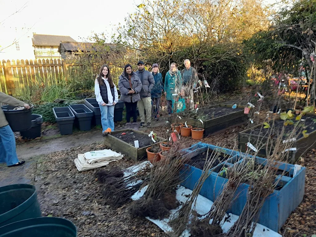 Household Tree Donations - Adamsdown, Cathays, Plasnewydd, and Splott at Splott Community Volunteers