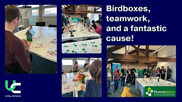 Bug Box Building Session with Christopher Morton 12-1pm