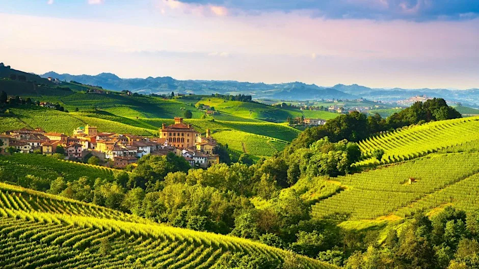 Barolo, Barbaresco, & Beyond