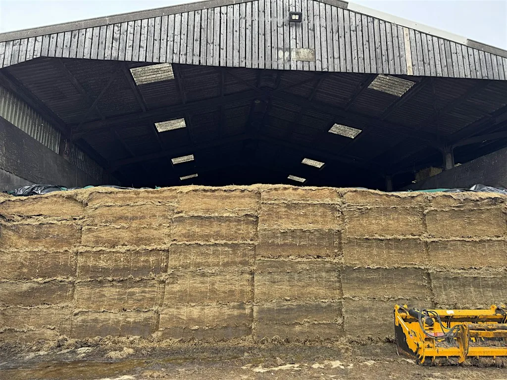 Field to Feed - Silage FLOOKBURGH at Canon Winder Farm