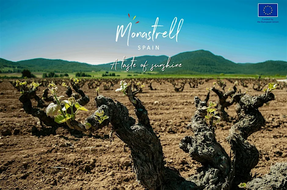 Discovering Spain's Monastrell Grape