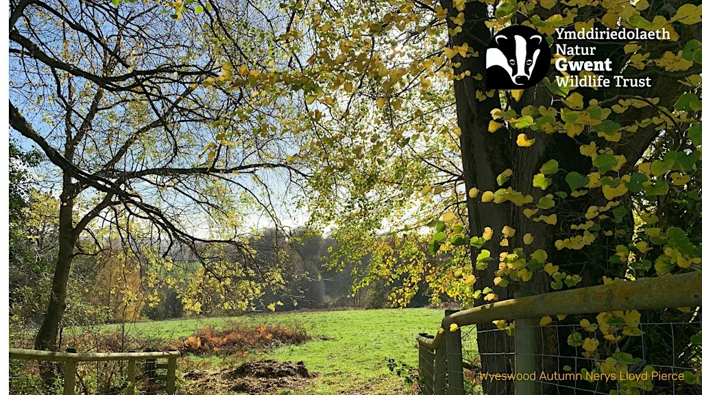Gwent Wildlife Trust AGM 2026