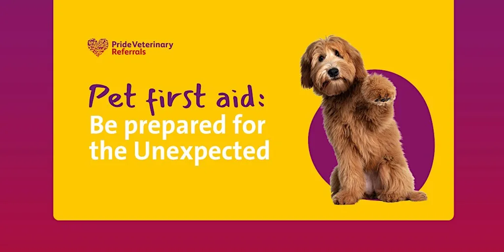 Pet First Aid: Be Prepared for the Unexpected at Pride Veterinary Referrals