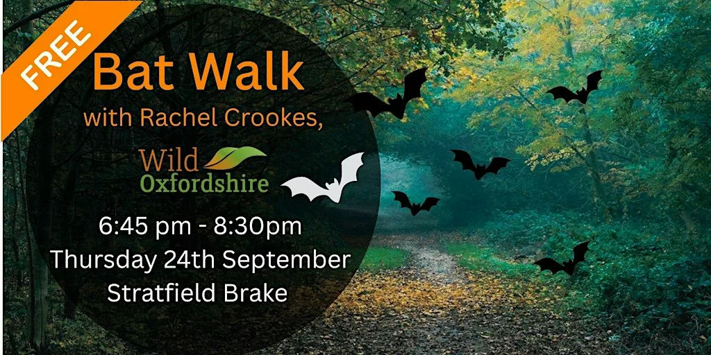 Bat walk - at Stratfield Brake Nature Reserve with Wild Oxfordshire at Stratfield Brake Nature Reserve
