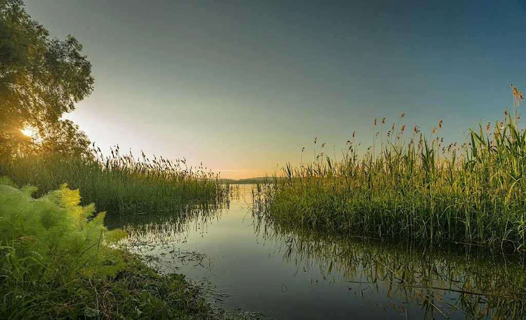 Slow Down & See: An Autumn Photography Walk in Tonbridge at In -person