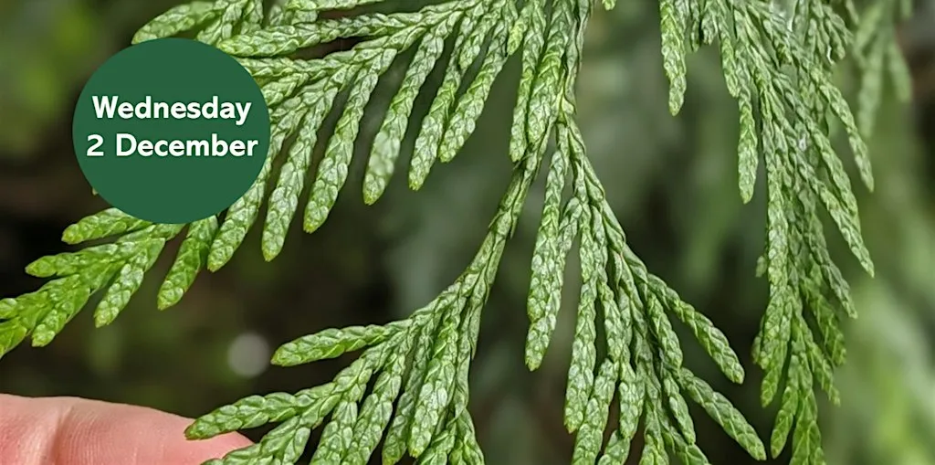 Ouse Burn Way: Exploring Evergreens at Heaton Park Car Park