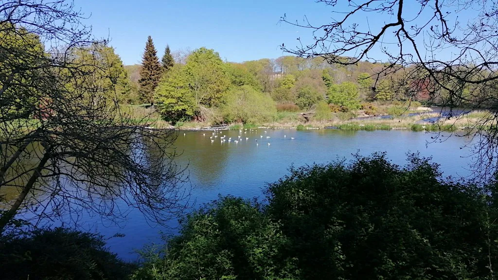 Stepping into a Landscape Story at Seaton Park