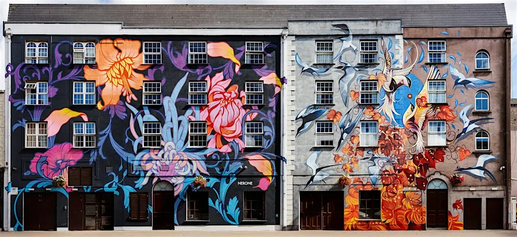 Waterford Walls Walking Tour for Culture Night