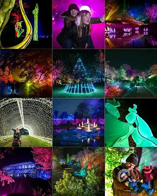 Cambridge Botanic Gardens Christmas Lights Trip