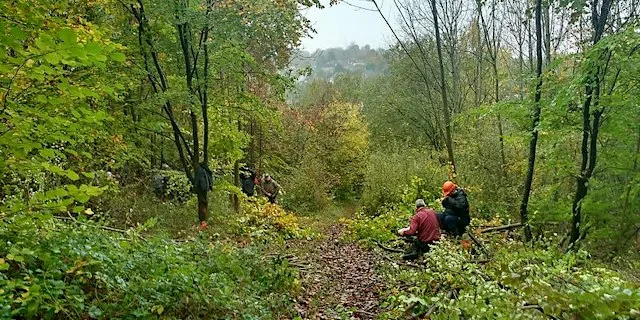 Castlefield & Rowliff Woodland Working Party at Dashwood Avenue