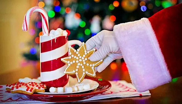 Lunch with Santa at Maldron Hotel Newcastle