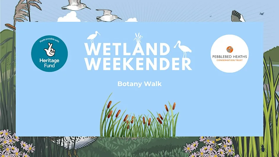 Wetland Weekender: Botany Walk at The Holt Bar and Terrace