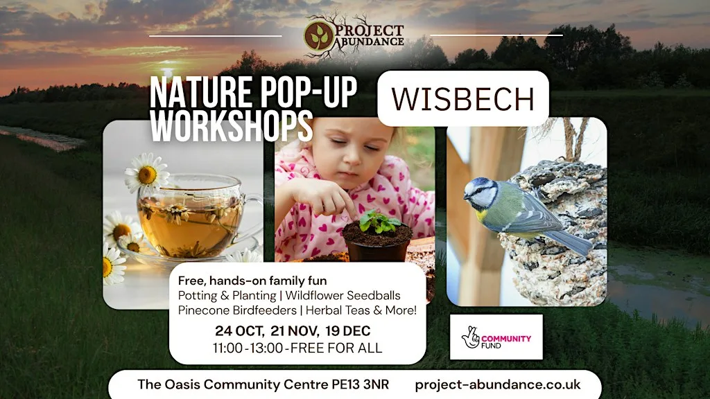 Millfield Pop-Up Nature Workshops