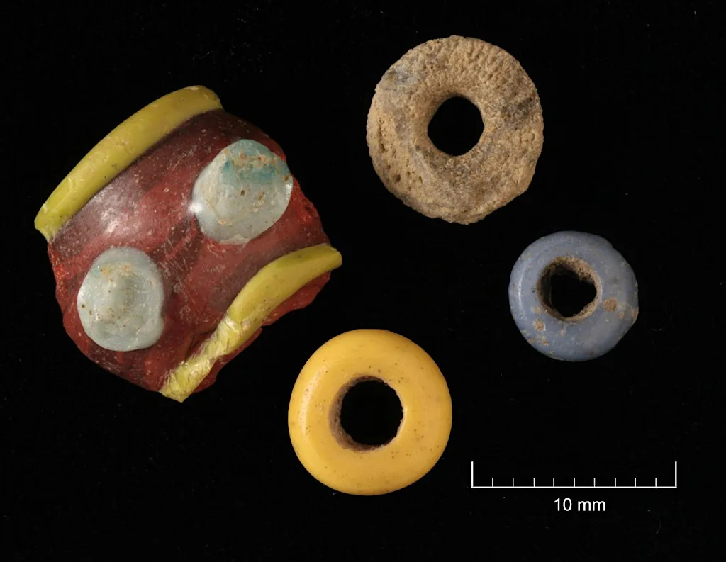 Open Night at IAC Archaeology