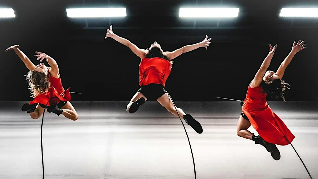 Vertical Dance Taster Sessions