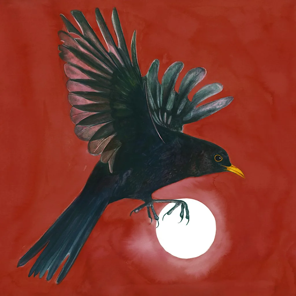 Seb Stone: The Blackbird Album Launch at Alder