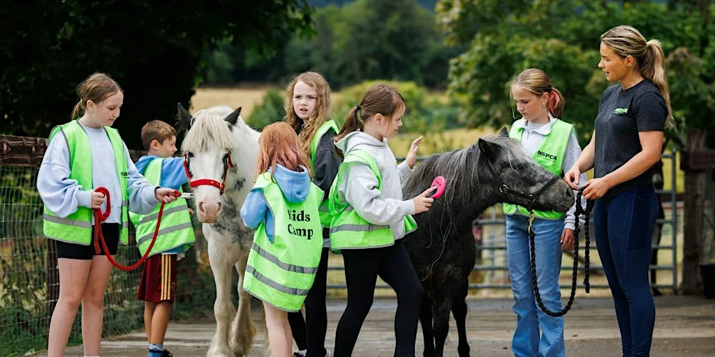Halloween Kids Camp at NSPCA Dublin at NSPCA Dublin