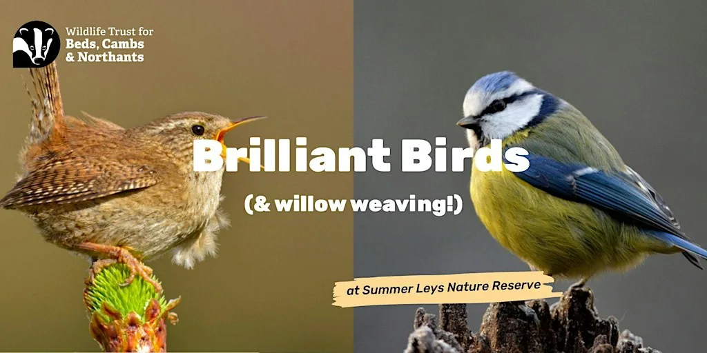 Brilliant Birds (& Willow Weaving) at Summer Leys at Summer Leys Nature Reserve