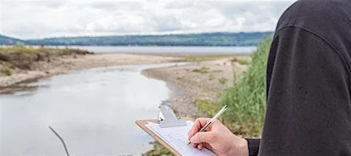 Fieldwork Skills and techniques, and decision-making, in Geography