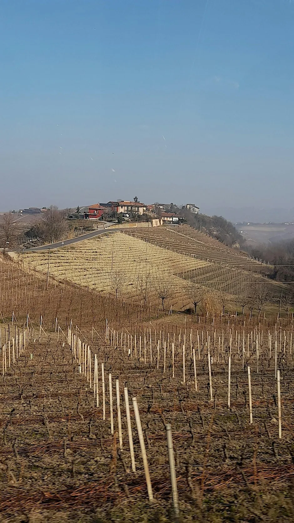 Wine of Piemonte Masterclass | Amathus Earl's Court at Amathus Earls Court