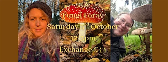 Fungi Foray