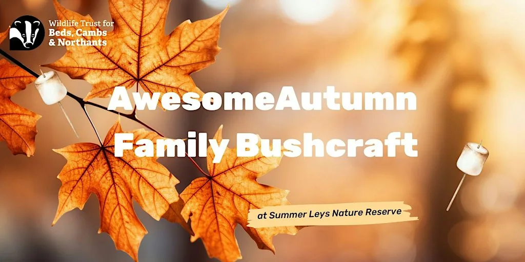 Awesome Autumn Family Bushcraft at Summer Leys