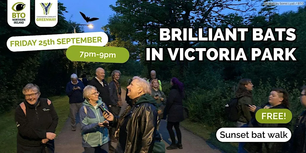 Brilliant Bats in Victoria Park