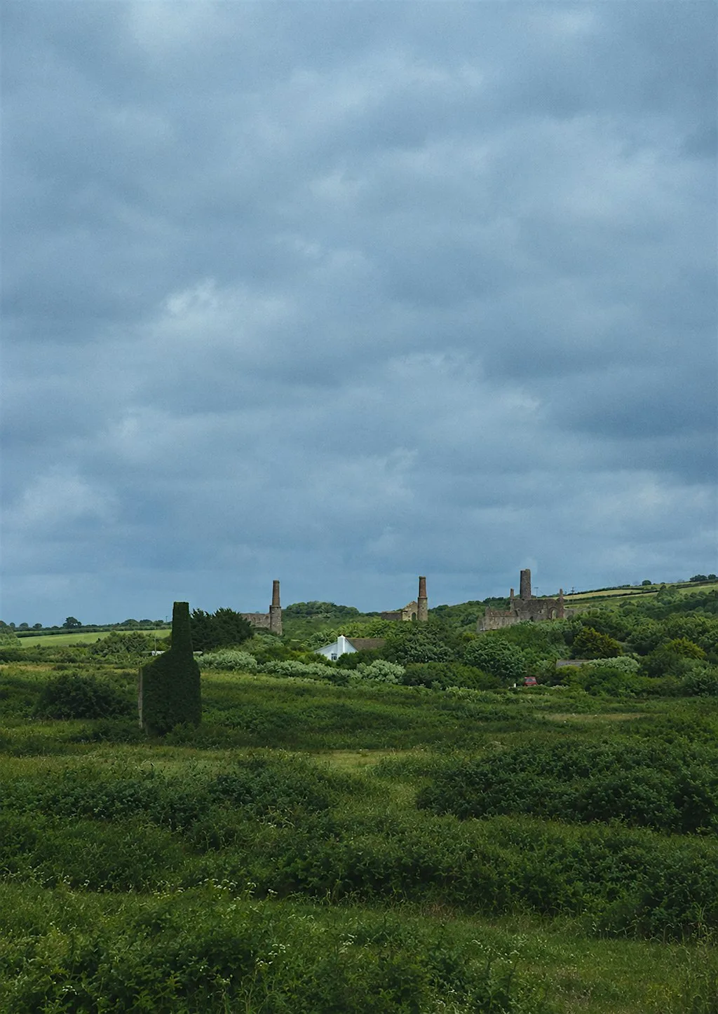 DIG Club Walk with Cornish Metals