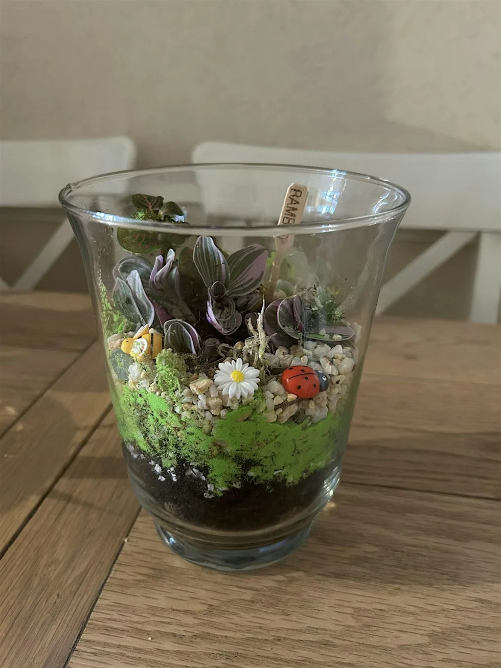 Terrarium Workshop