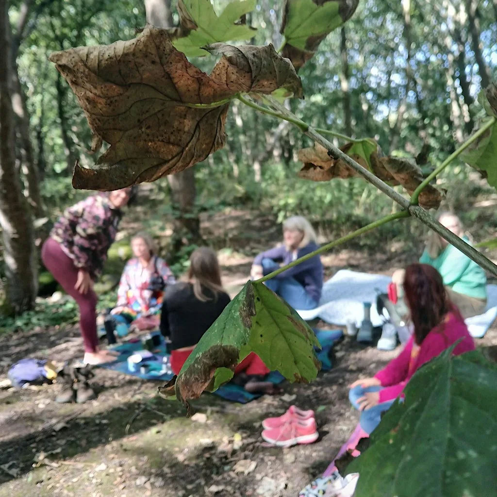 Woodland sanctuary for the autumn equinox at Thornhill Drive