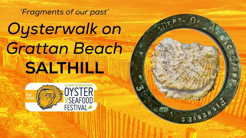 'Fragments of Our Past' Oyster Shore Walk on Grattan Beach, Salthill at Grattan Beach