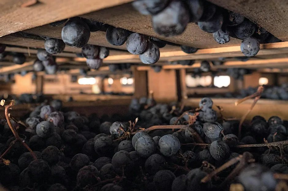 Passione di Valpolicella - Bussola Tomaso at Cellar Magnifique Wine Bar, Cafe, and Events