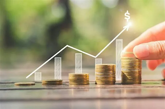 How to make money and protect your money in USA - Online event