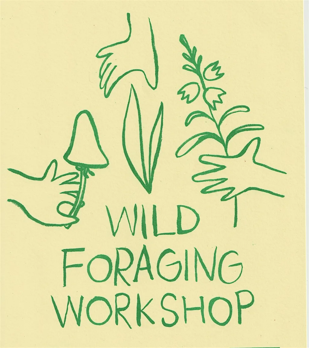 Wild mushroom foraging at Kirkhill Forest