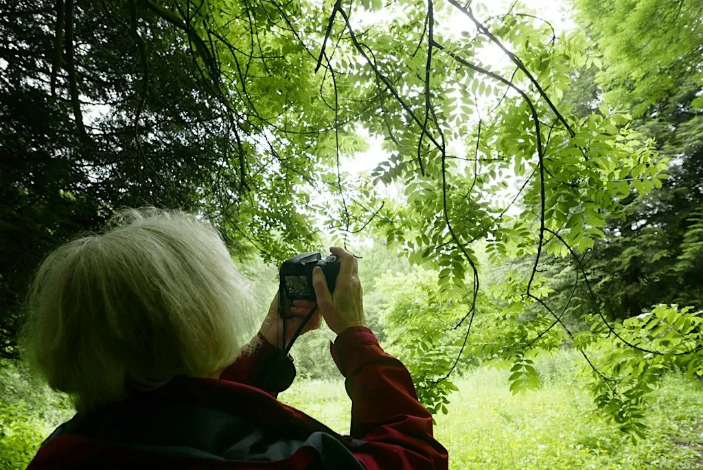Beginners Photography Workshop and Photo Walk at Stoke sub Hamdon