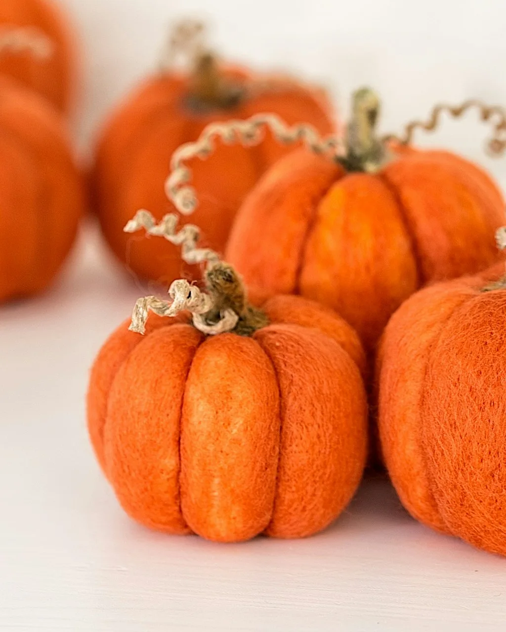 Pilates and needle felt pumpkins workshop at Unit 1 Newhailes Business Park Newhailes Road Newhailes Musselburgh