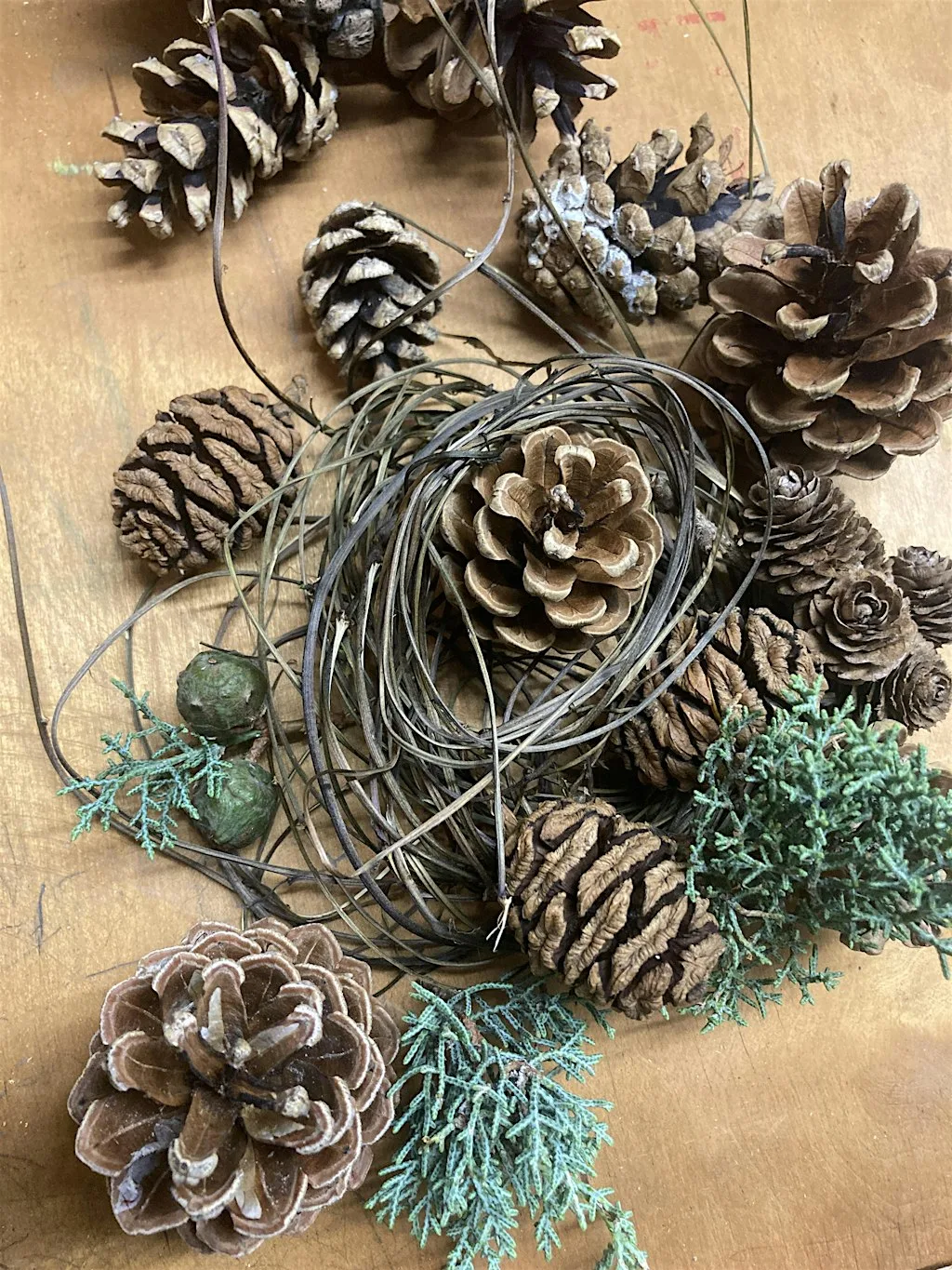 Winter Wreath Making at Wash House Garden