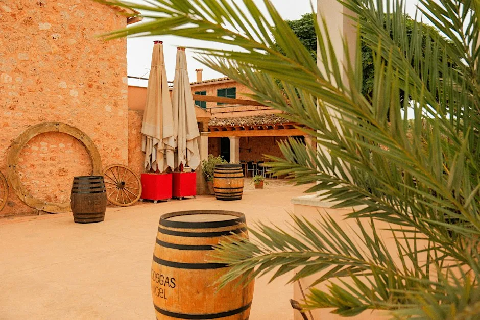 Wines from Central & Southern Spain: From La Mancha to the Moors at Theatre of Wine