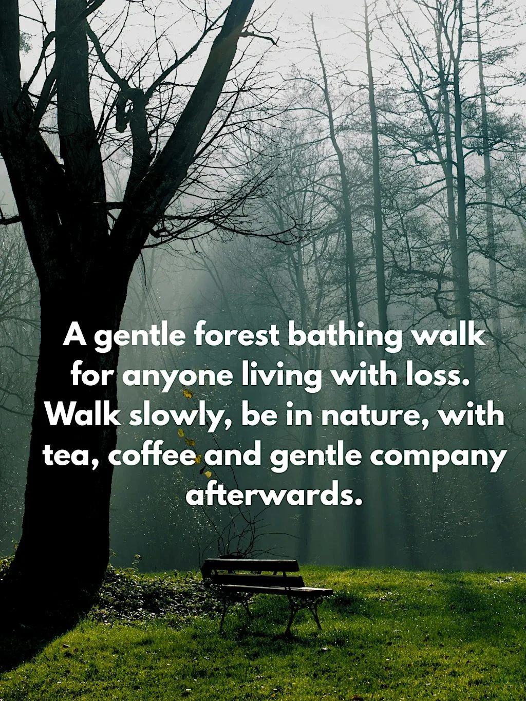Loss Walk at South Norwood Country Park Forest Bathing