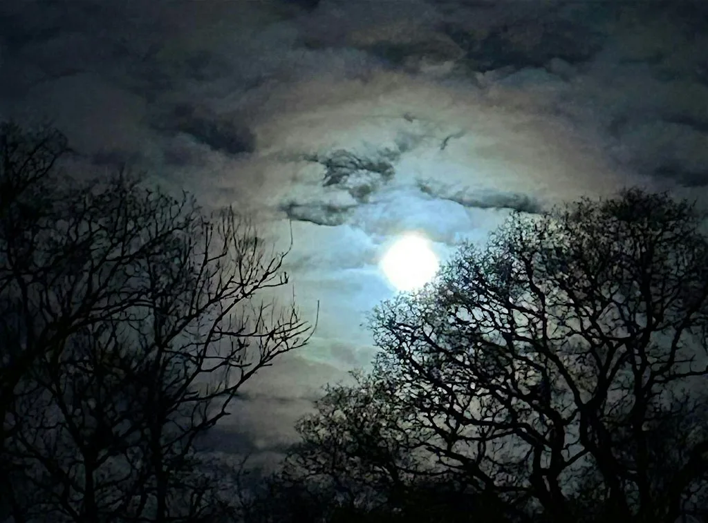 Full Moon Fire Ceremony
