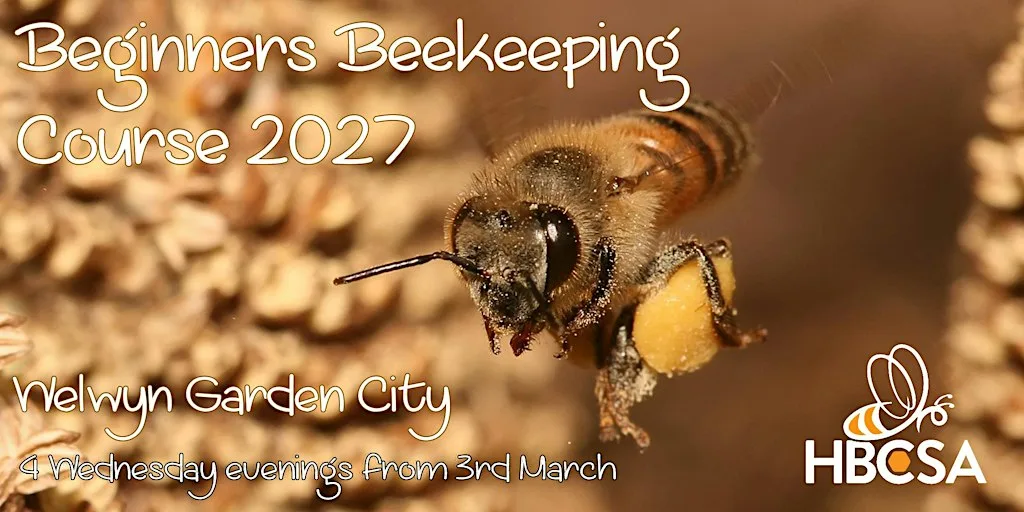 Beginners Beekeeping Course 2027 at Christchurch Parkway