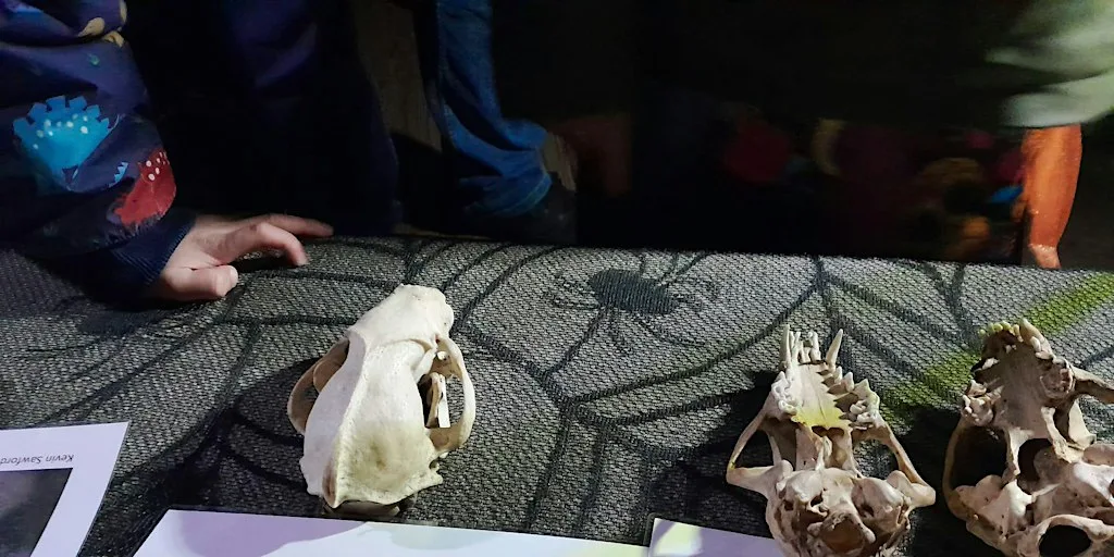 Wild Halloween at Foxburrow