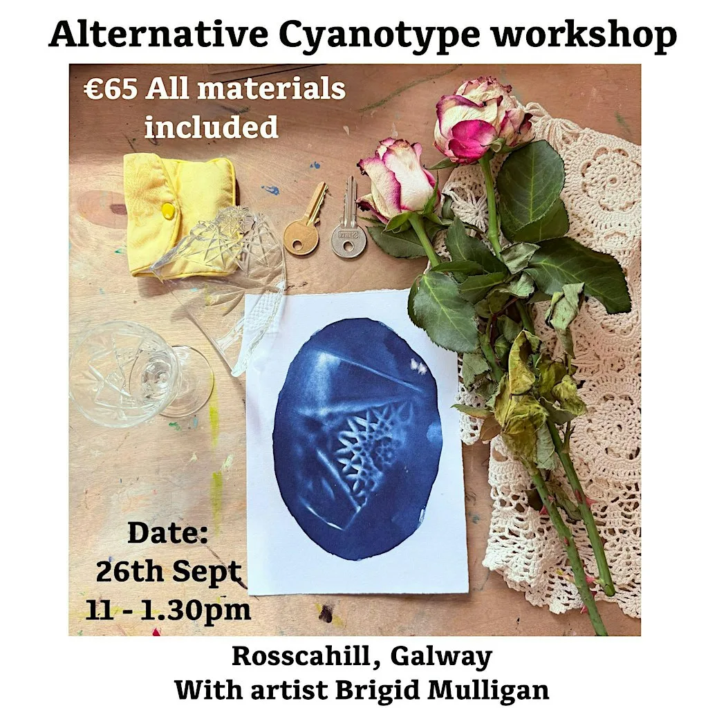 Alternative cyanotype workshop at Rosscahill Home studio & garden