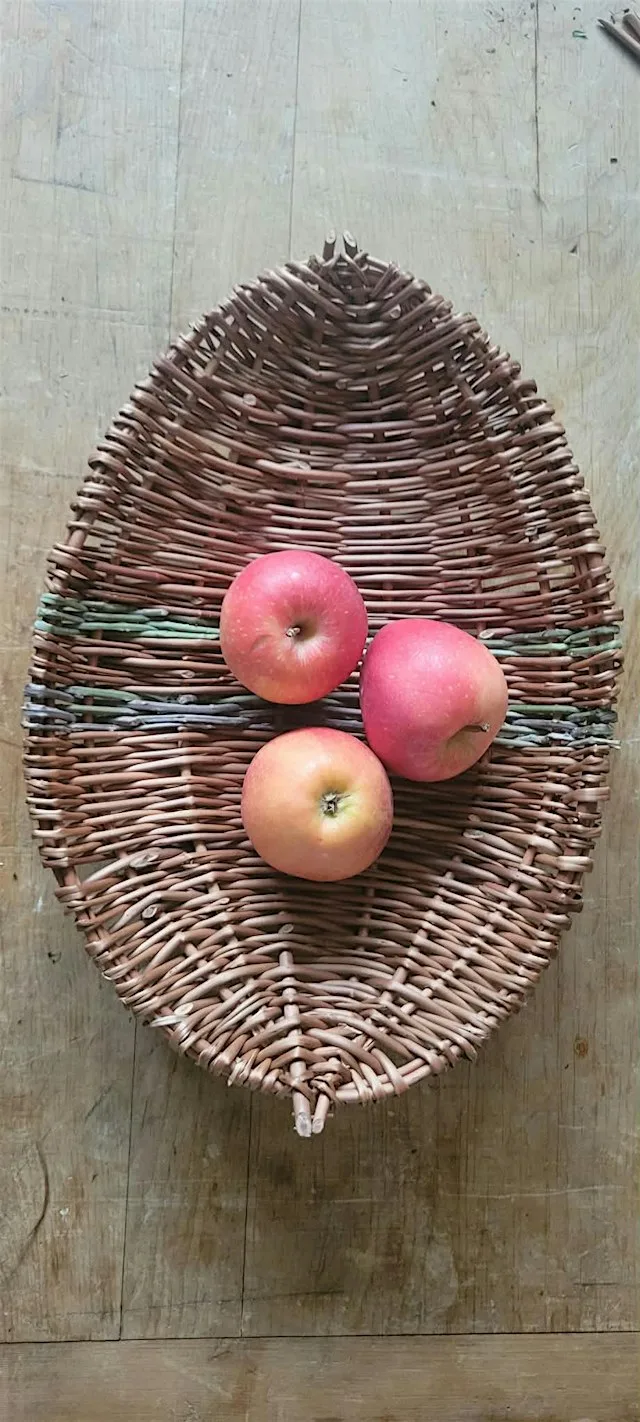 Willow medicne & Mixed Natural Fibre basket Workshop!