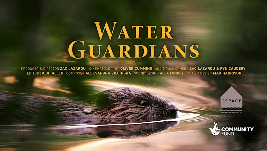 Free Water Guardians screening at C-Space, Newquay at CSpace