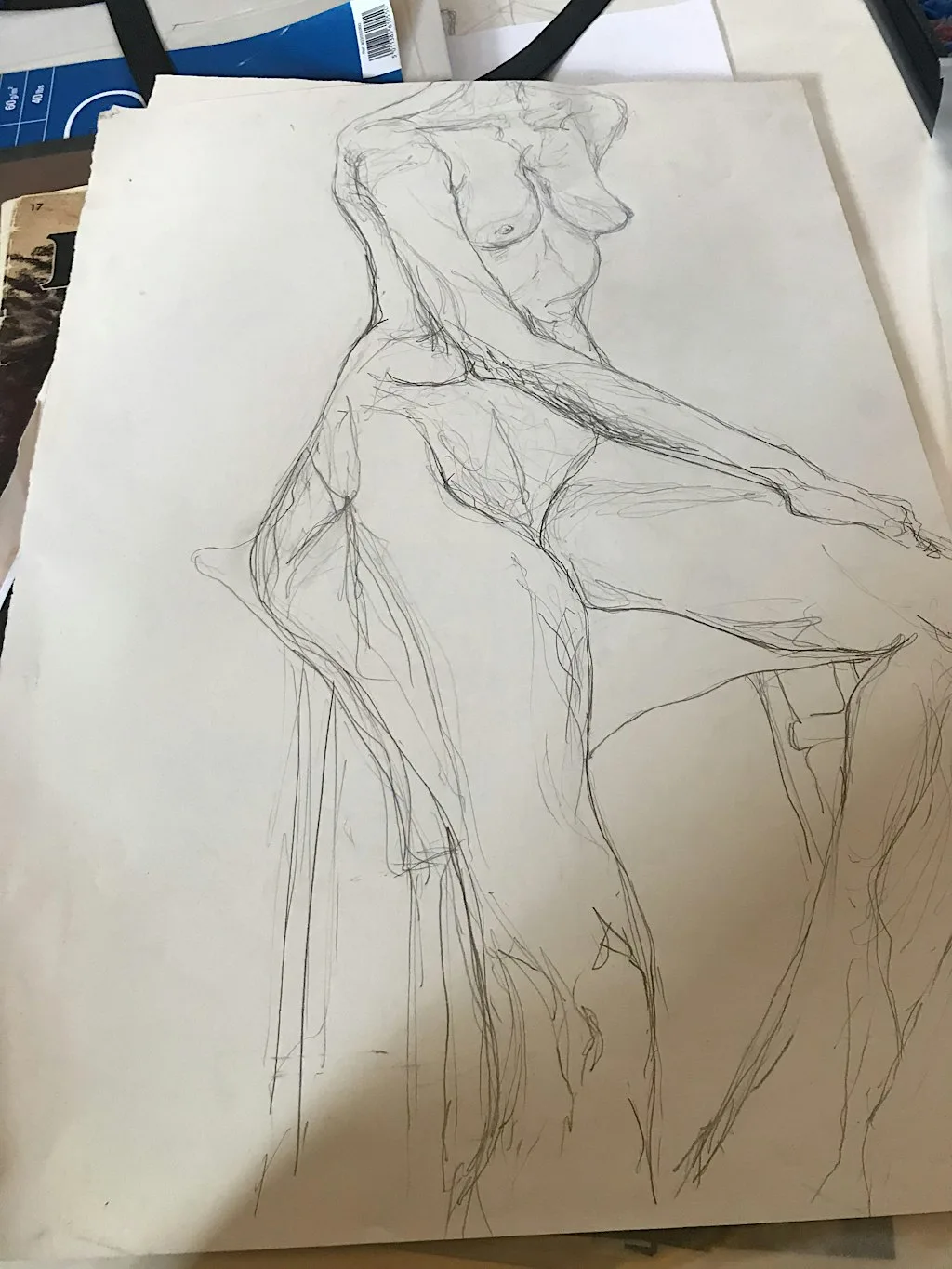 Central Park Life Drawing