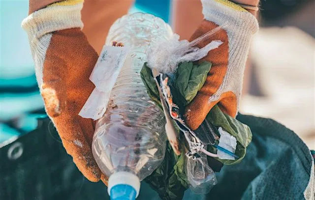 Great British Beach Clean: Glyne Gap Beach