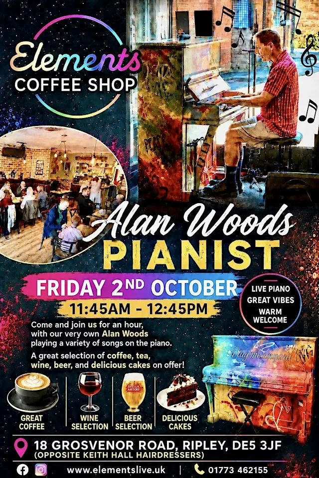 Alan Woods Painist at Elements Live Lounge