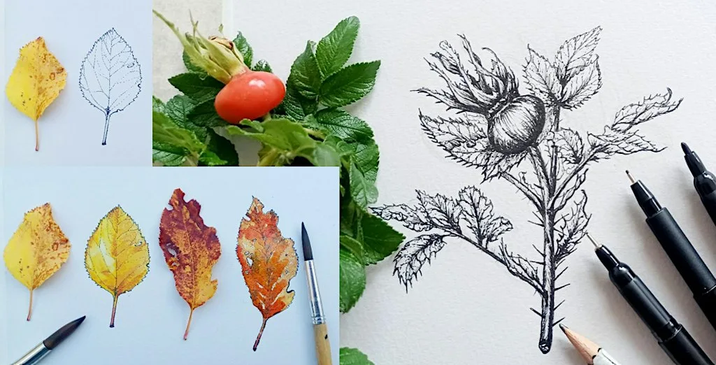 Autumnal Nature Illustration Workshop at Tea by the Lock